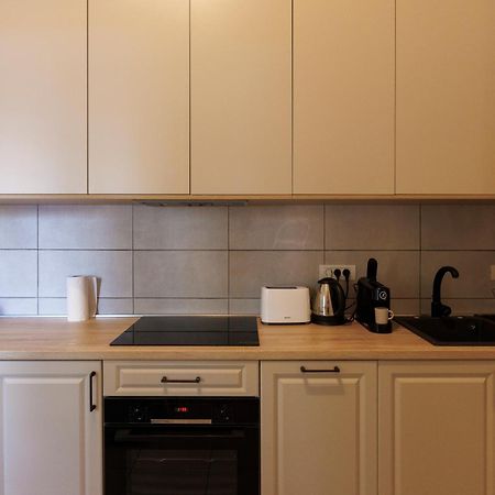 Victoriei Square Apartment Temešvár Exteriér fotografie